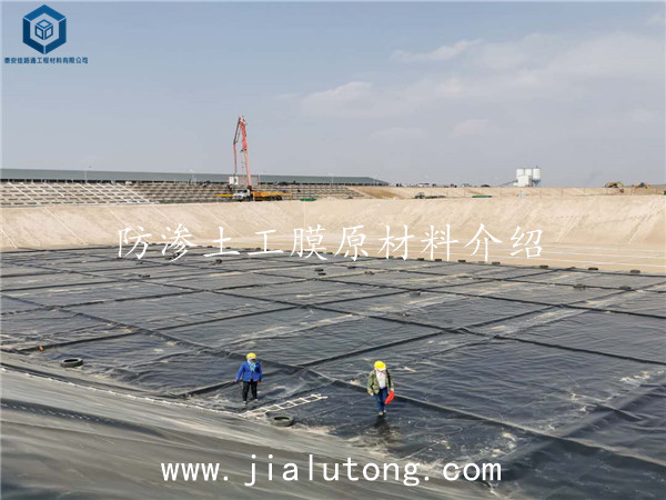 ����Ĥ�S��